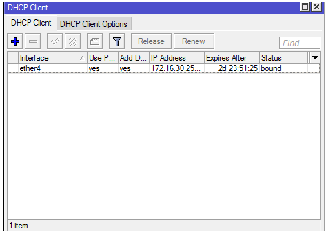 DHCP Client 