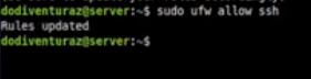 Allow SSH dan Web Server