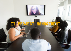 IT Project Management