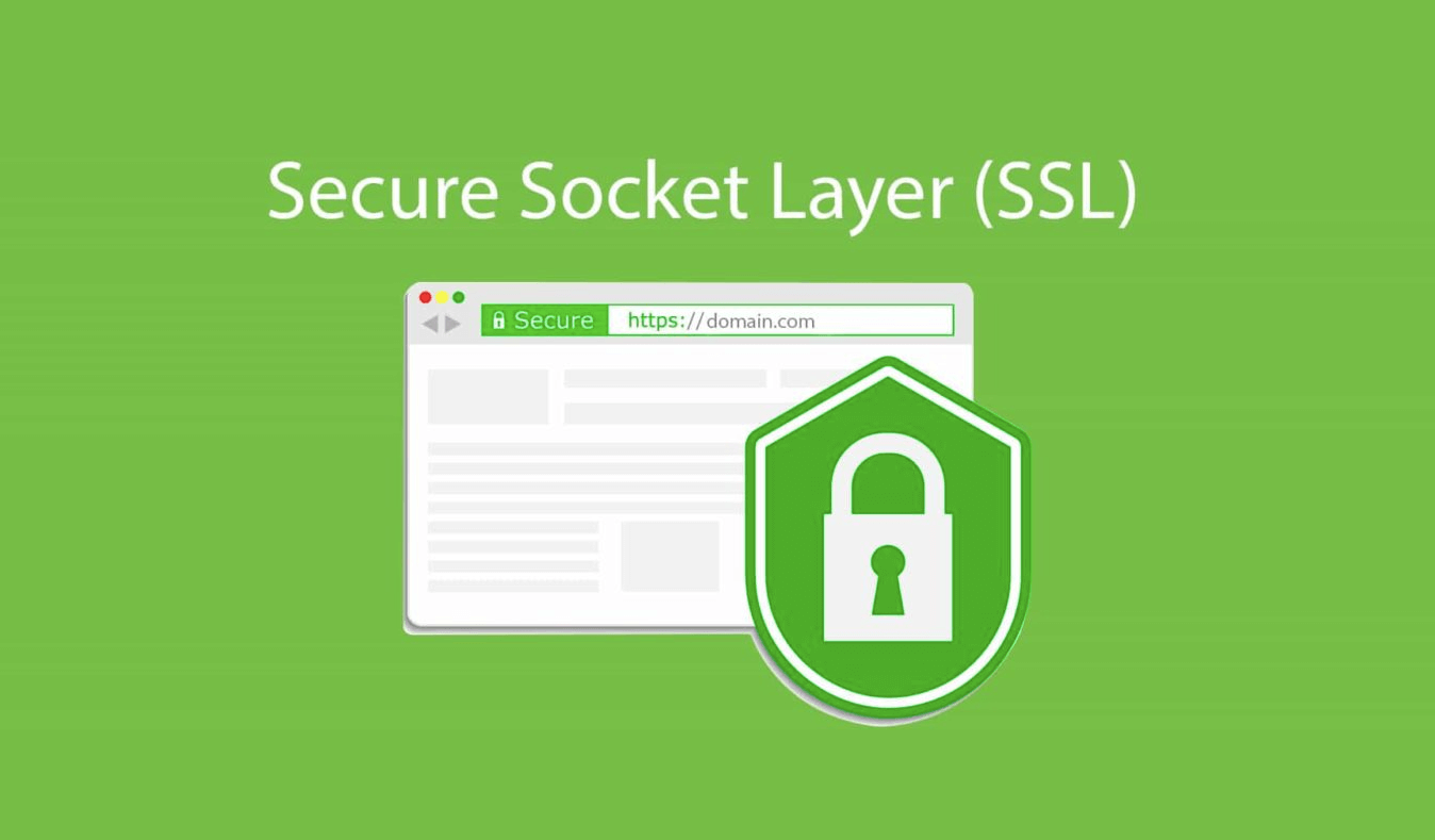 Ssl security. SSL. SSL картинка. SSL Certificate. SSL сертификат картинки.