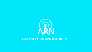 Apa Itu APN