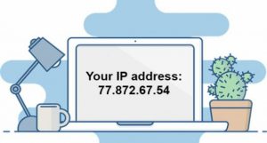 IP Address