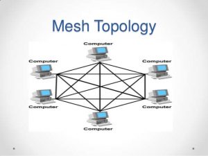 Mesh Topology
