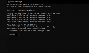 How to ping Google