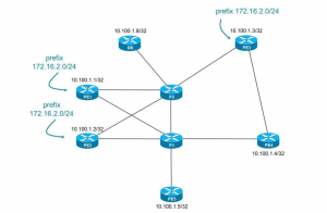 Border Gateway Protocol