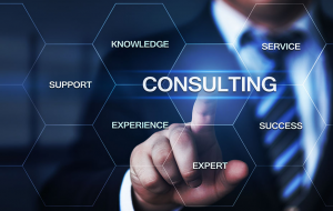 IT consulting services