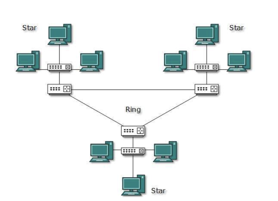 Mengenal Topologi Jaringan Komputer, Fungsi dan Jenisnya ~ PT. Network ...