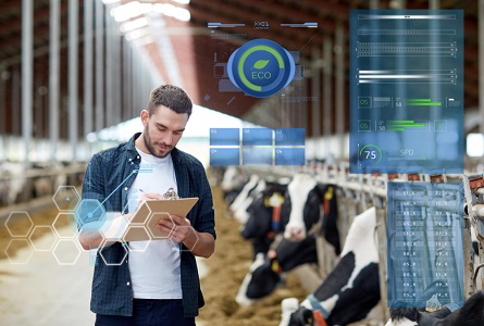 iot peternakan